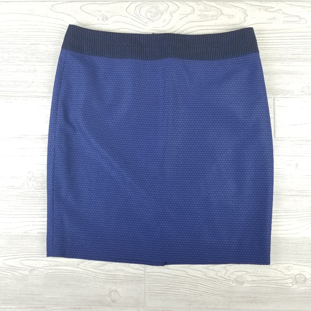 The Limited Skirt